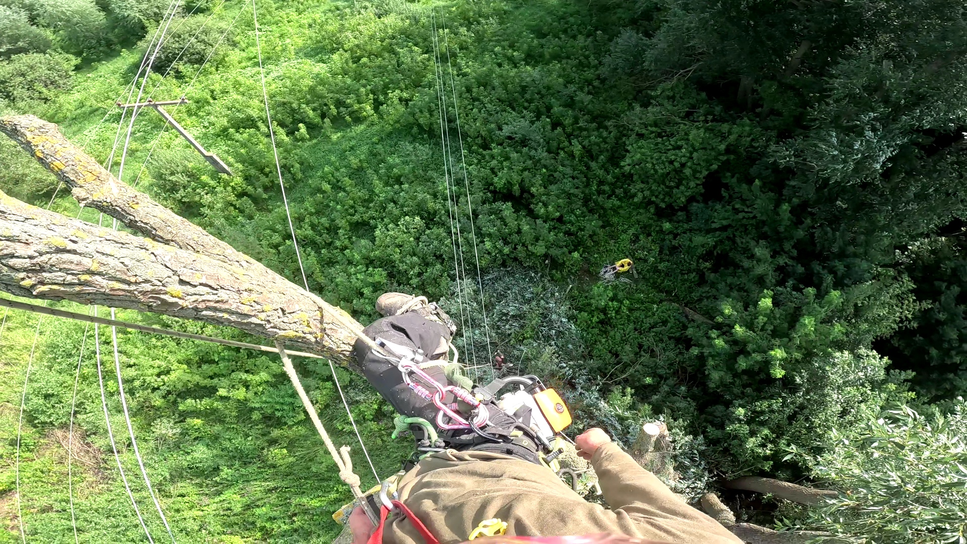 VideoCapture_20230727-121240